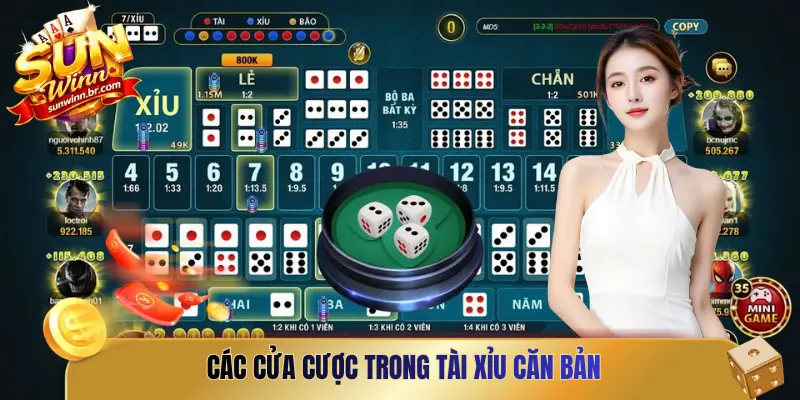 Các cửa cược trong Tài Xỉu căn bản