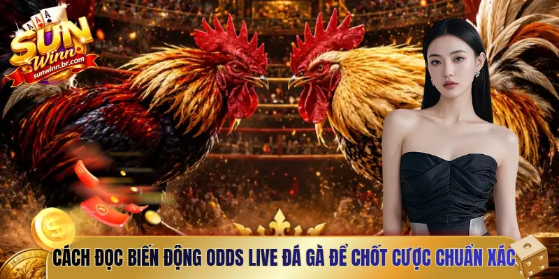 Cách đọc biến động odds live đá gà để chốt cược chuẩn xác