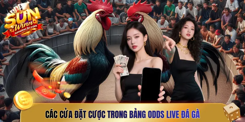 Các cửa đặt cược trong bảng odds live đá gà