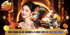 màu mạng gà đá