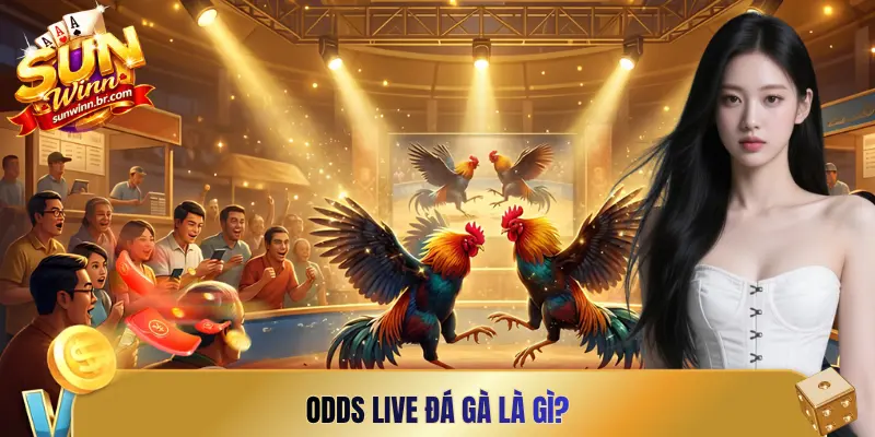 Odds live đá gà là gì?
