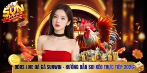 Odds live đá gà