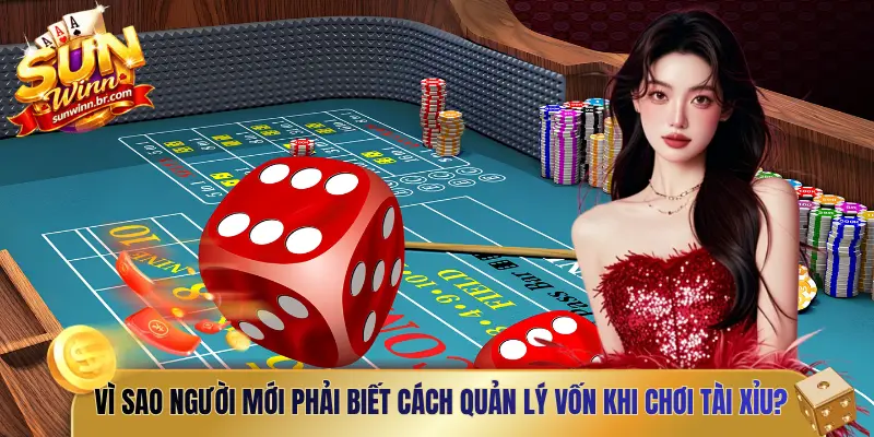 Vì sao người mới phải biết cách quản lý vốn khi chơi tài xỉu?